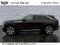 2025 Cadillac ESCALADE IQ Luxury 1